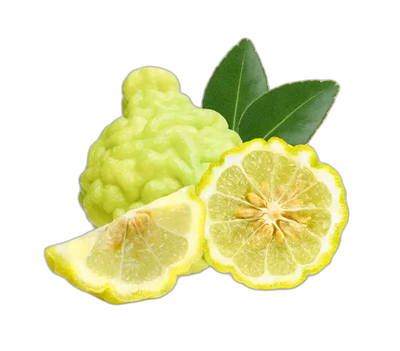  Bergamot Essence 