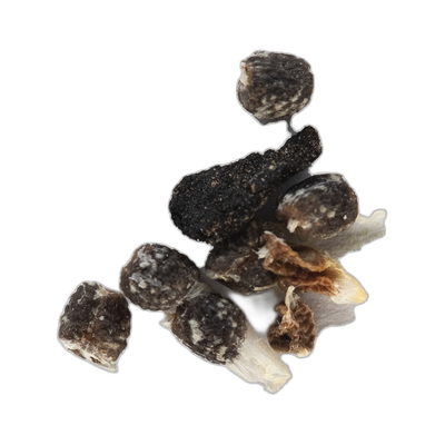 Cardamom Seeds