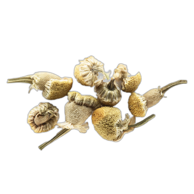 Organic Chamomile