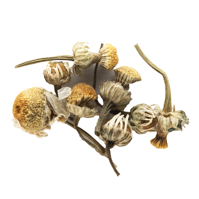Organic Chamomile