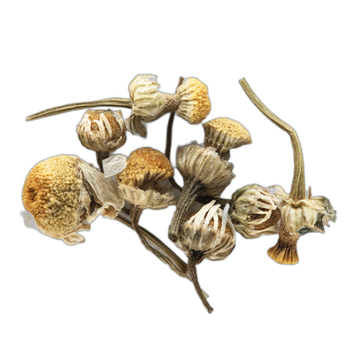 Organic Chamomile