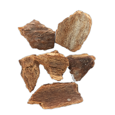 Organic Cinnamon Chips