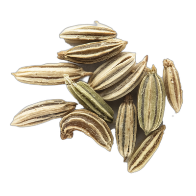 Fennel Seed