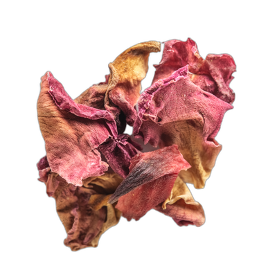 Hibiscus Flower