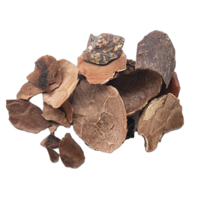 Cacao Nibs