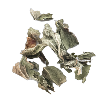 Organic Spearmint