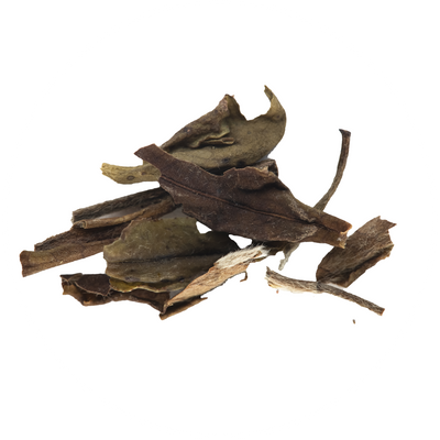 White Tea (camellia sinensis)