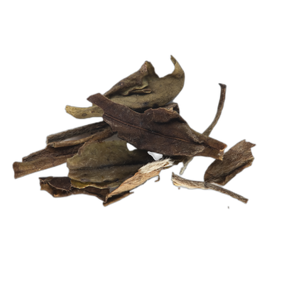 White Tea (camellia sinensis)