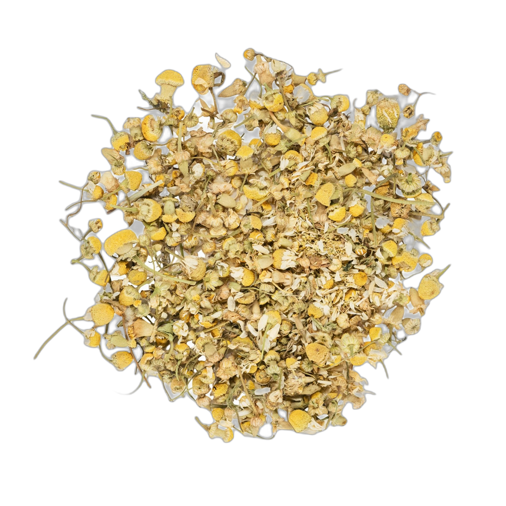Close up of organic chamomile flowers spread flat on a dark background