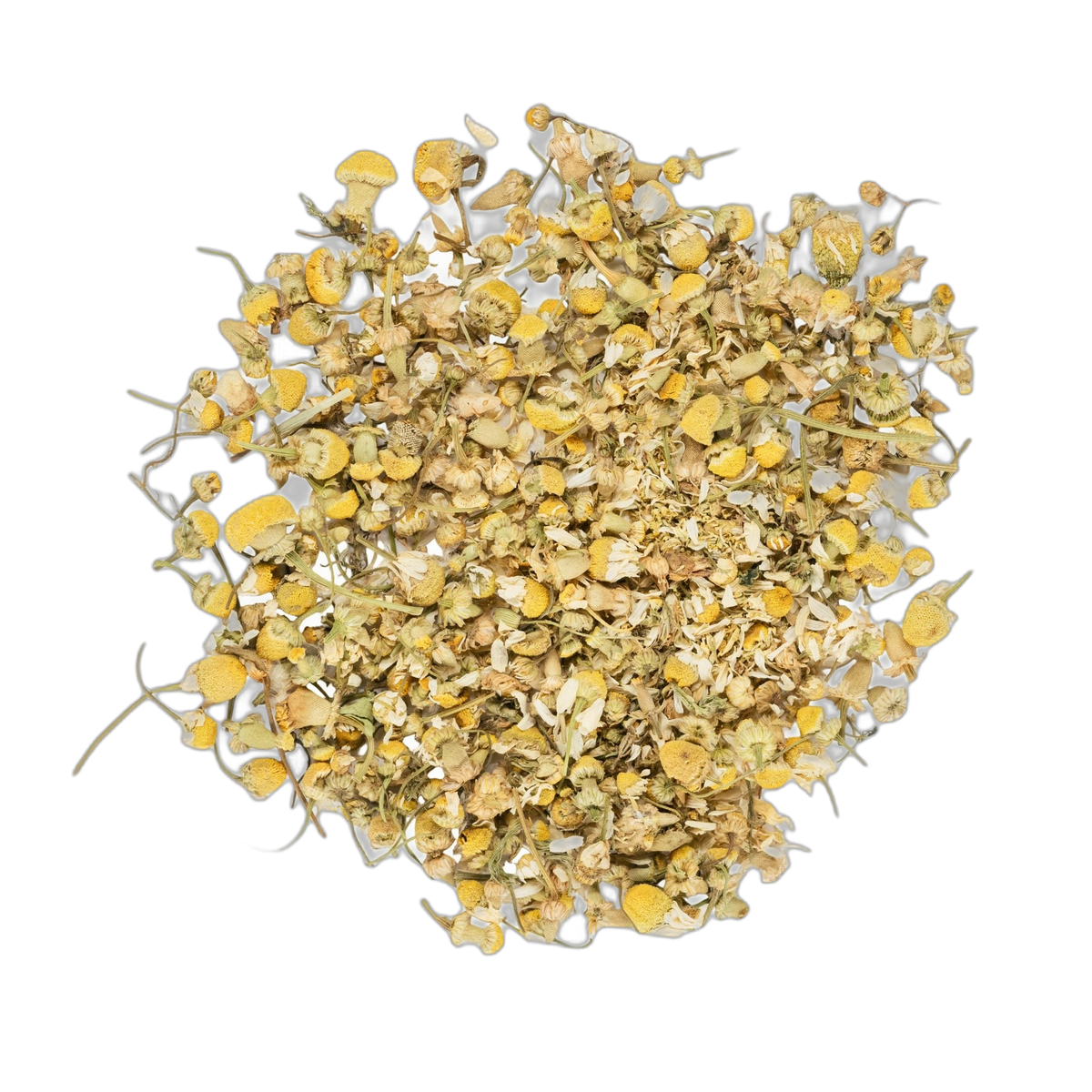Close up of organic chamomile flowers spread flat on a dark background